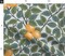 Orange Fruit Citrus Summer Botanical Mediterranean Tree Oranges Nature Plant Floral Large Scale Custom Printed Fabric by Spoonflower Various Fabrics by the Yard or Fat Quarter
